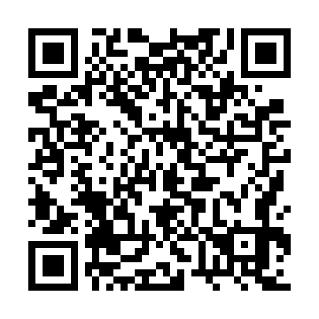 QR code for plate 2V8-6G3