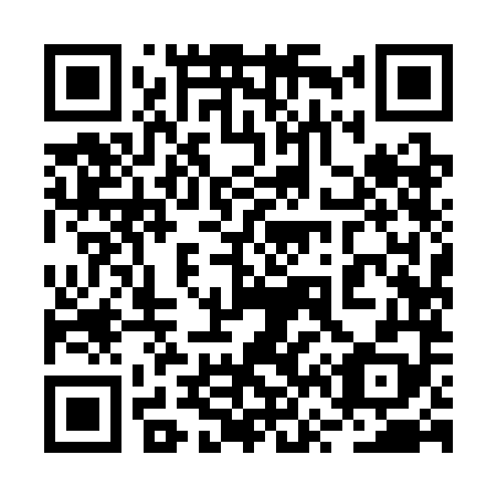 QR code for plate 2V9-3M8