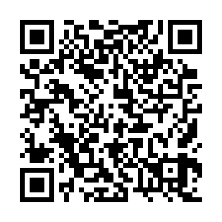 QR code for plate 2V9-3V9