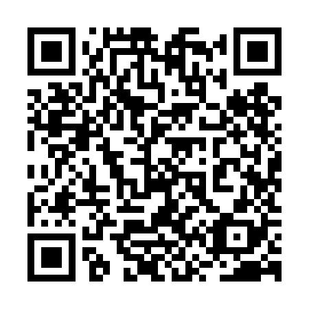 QR code for plate 2V9-4J8