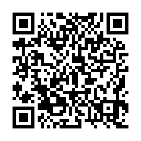 QR code for plate 2V9-9W1