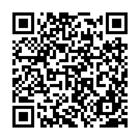 QR code for plate 2W9-2Z6
