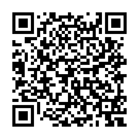 QR code for 2X95Y0