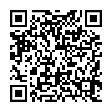 QR code for plate 2Y9-2I5