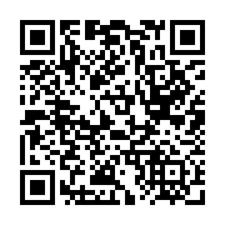 QR code for plate 2Z3-9G1