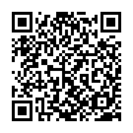 QR code for plate 2Z3-9Y5