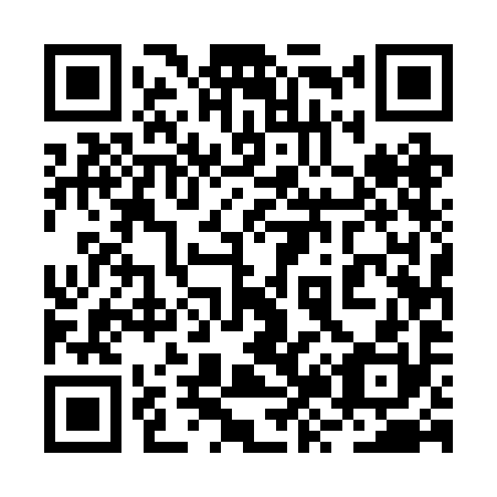 QR code for plate 2Z5-2I0