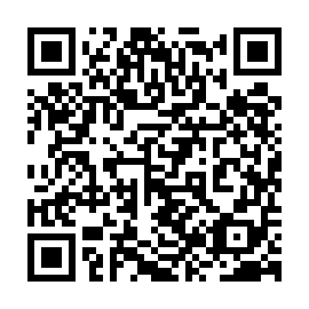 QR code for plate 2Z9-5E8