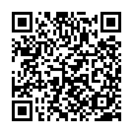 QR code for 2Z95N1