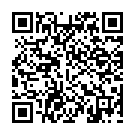QR code for plate 300-HAT