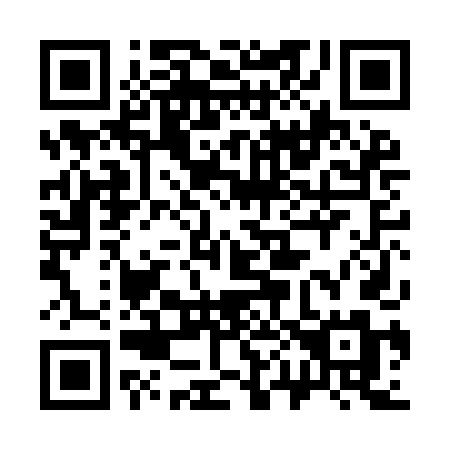 QR code for 300IDM
