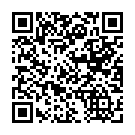 QR code for plate 300-NNU
