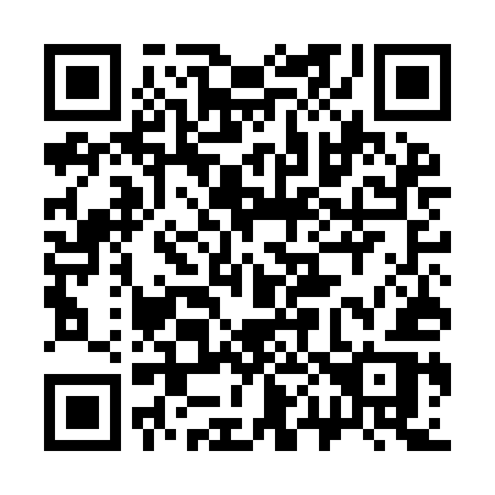 QR code for plate 305-IER