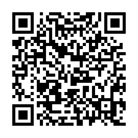 QR code for 306-PNK