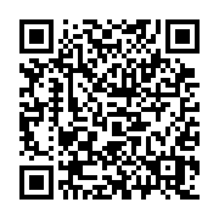 QR code for plate 306-SET