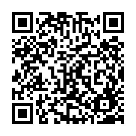 QR code for plate 307-UEF