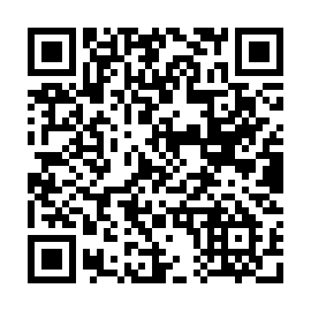QR code for plate 309-SSM