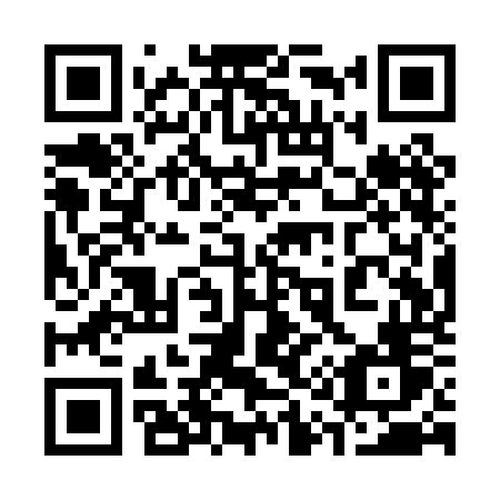 QR code for 311-POV