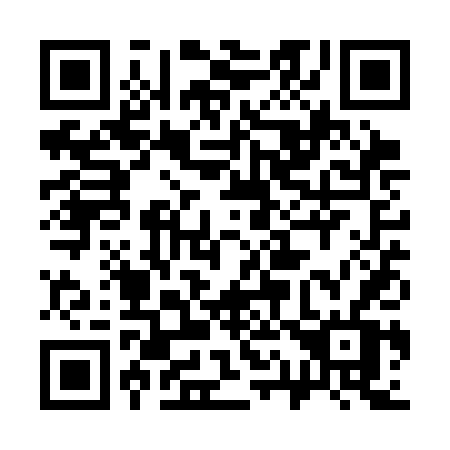 QR code for 311-SDV