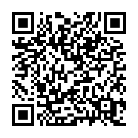 QR code for 311-XJD