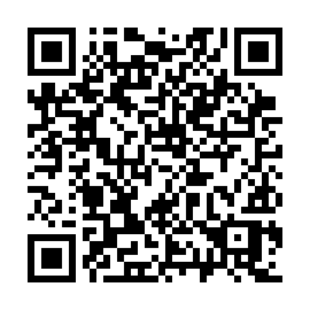 QR code for plate 311-CIR