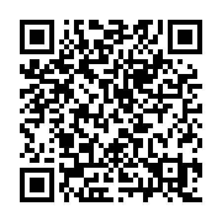QR code for plate 311-LBI