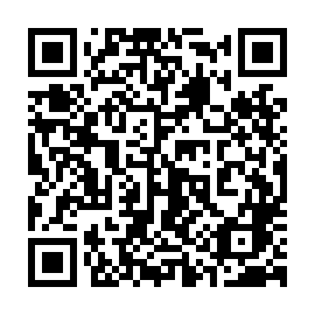 QR code for plate 311-LLC