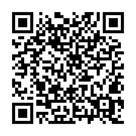 QR code for plate 311-XMG