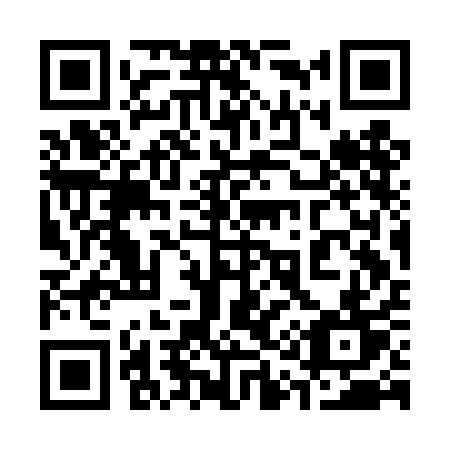 QR code for 313-DAT