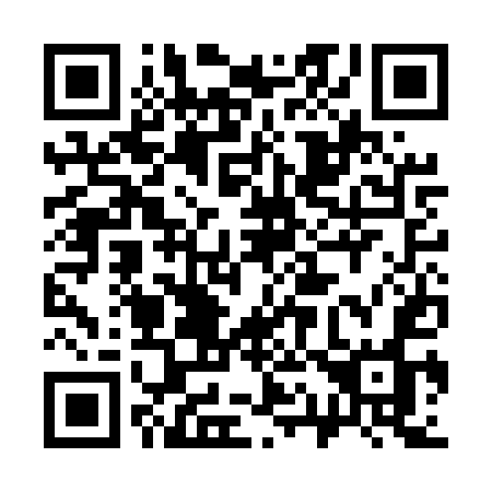 QR code for 313-EUO
