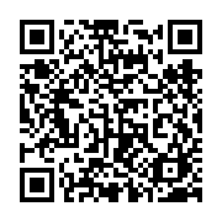 QR code for 313-FAC