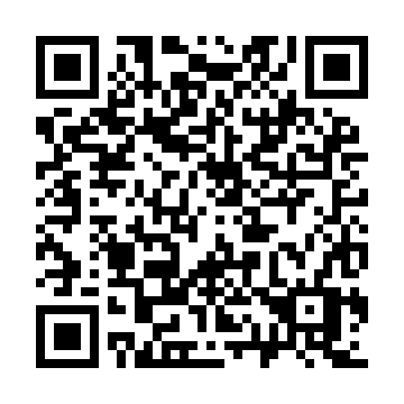 QR code for 313-IHV