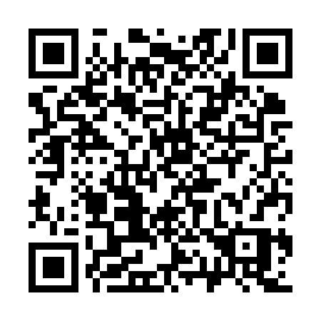 QR code for 313-KRR