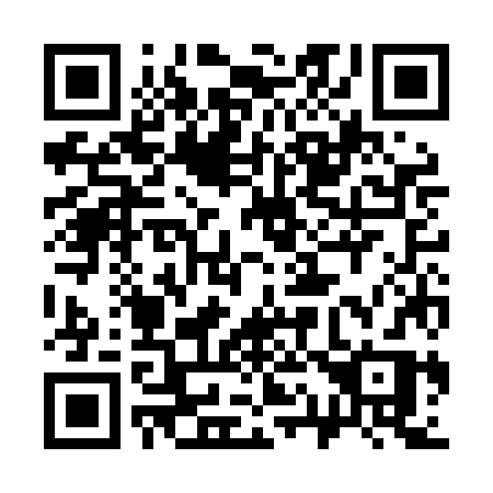 QR code for 313-LJR