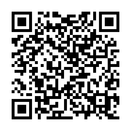 QR code for 313-MUI
