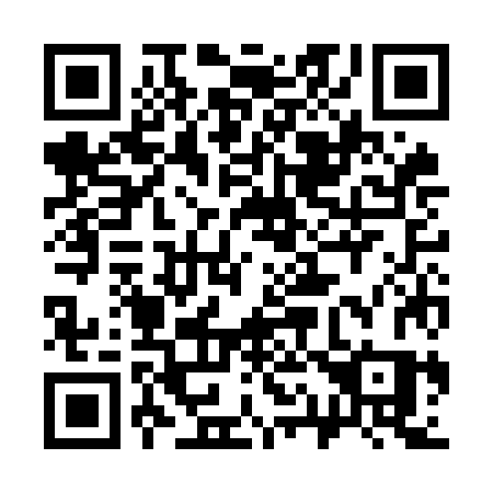 QR code for 313-OJS