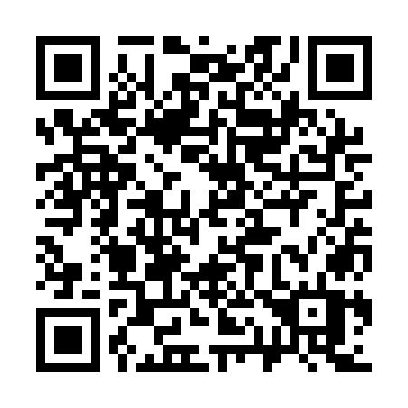 QR code for 313-QOT