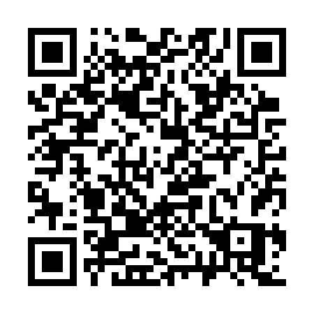 QR code for 313-SVS