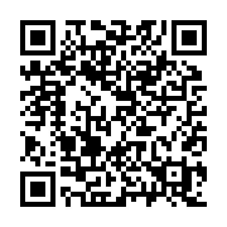 QR code for 313-ZTI