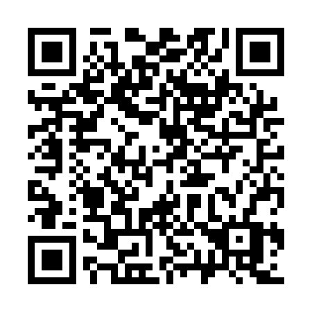 QR code for plate 313-ABV
