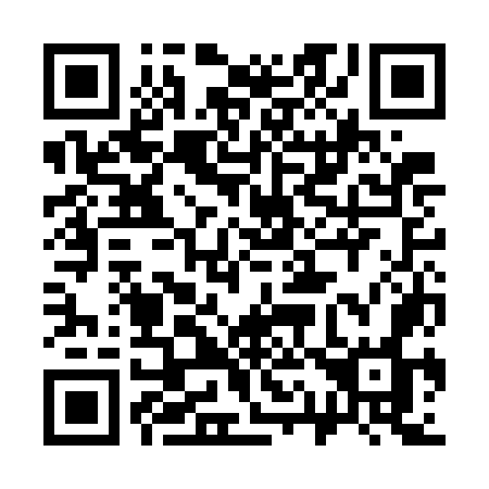 QR code for 313GOO