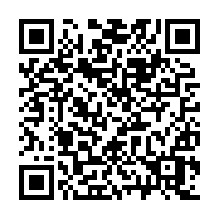 QR code for plate 313-HYV