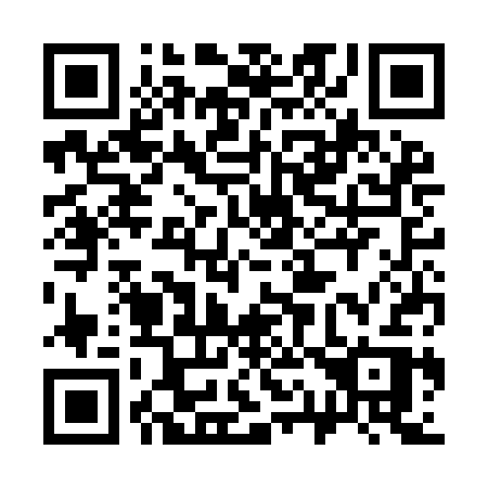 QR code for plate 313-ICR