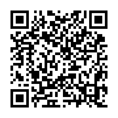 QR code for plate 313-KOK