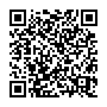 QR code for 313SOP
