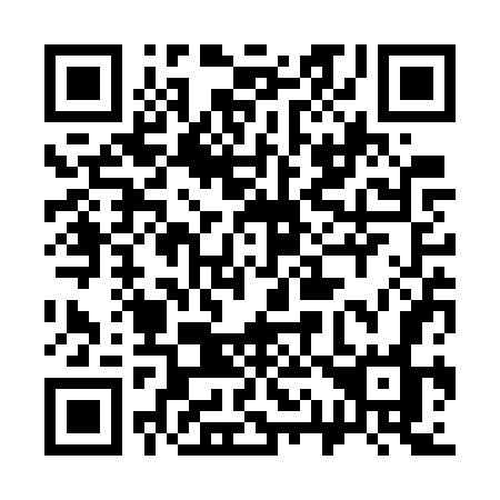 QR code for 313WWO