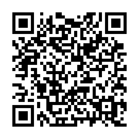 QR code for 315-SCM
