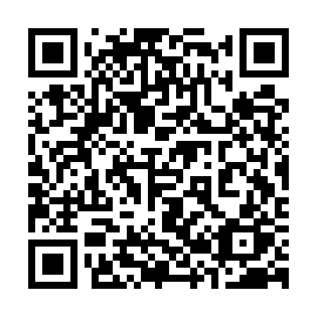QR code for 323ERP
