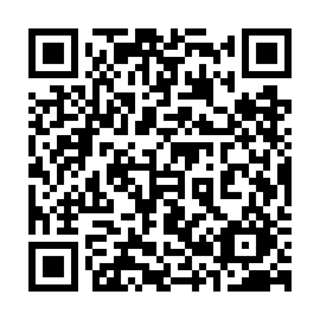 QR code for plate 325-WBO