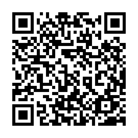 QR code for plate 330-QGT